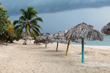 Beach line under palm trees in Cuba, Caribbean.