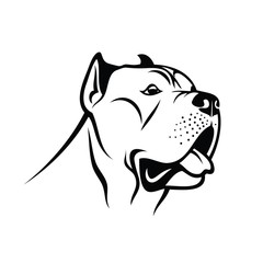 Cane Corso dog - isolated vector illustration