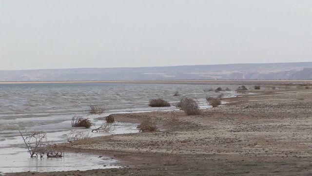 Uzbekistan Southern coast of the Aral Sea.