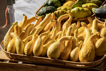 Beautiful yellow crookneck and pattypan squash displayed in baskets on wooden crates at a summer farmer's market.