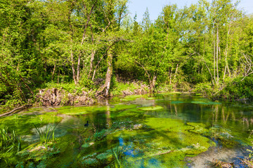 Park of Storga in Treviso