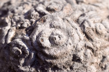 Stone flower texture