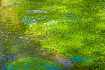 Park of Storga in Treviso