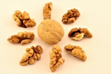 walnuts