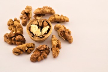 walnuts