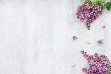 Lilac flowers on grey background, flat lay, top view