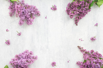 Lilac flowers on grey background, flat lay, top view