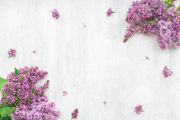 Lilac flowers on grey background, flat lay, top view