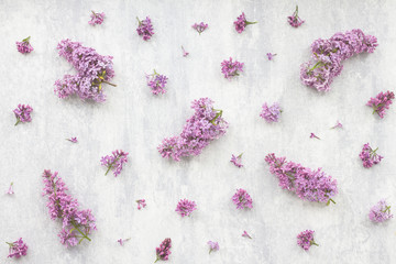 Lilac flowers on grey background, flat lay, top view