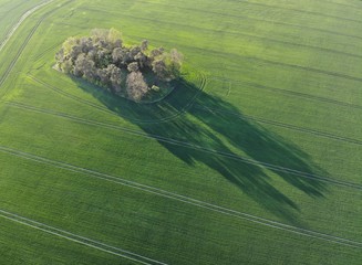 Niewielki zadrzewiony pagórek pośrodku pola z ładnie układającymi się cieniami, widok z drona DJI Mavic Air