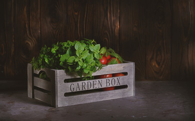 Fresh basil leaves in a rustic wooden garden box with red tomatoes on a branch on the rustic background