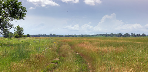 Obraz premium Summer road leading to the ranch through the meadow and field.