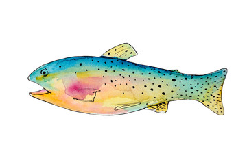 Hand drawn watercolor sea fish