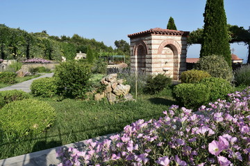 Flowers in a Greek Monastery