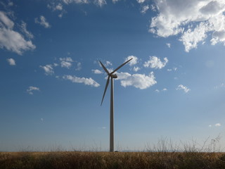 wind turbines in the field