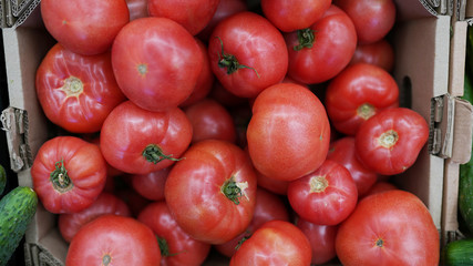 Tomatoes in box are stored in the warehouse, fresh organic vegetables