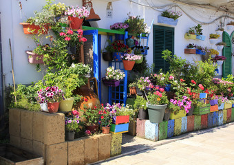 derrière les fleurs