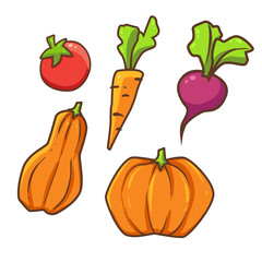 Vector illustration of collection of vegetable. Tomato, carrot, beetroot and pumpkin  isolated on white background