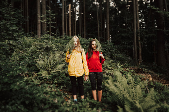 Blurred and grainy art portrait  with tilt shift effect of young female couple holding hands in the forest