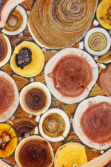 Mosaic of different types of trees. Decorative wooden board with a heartwood.