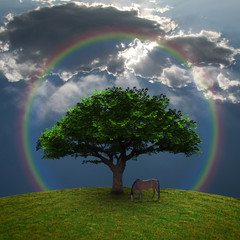 Horse near the tree © rolffimages