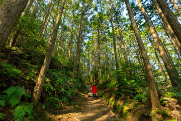 Woman in red trekking in forest