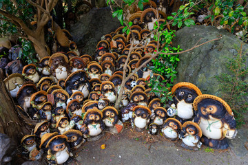 Group of Tanuki statues