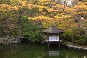 Japanese garden at srping