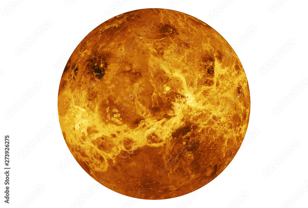 Wall mural the planet venus is entirely isolated on white background. elements of this image were furnished by 