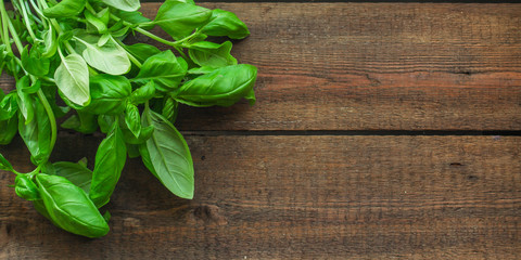 basil (flavored green ingredient used for cooking). food background. top view. copy space