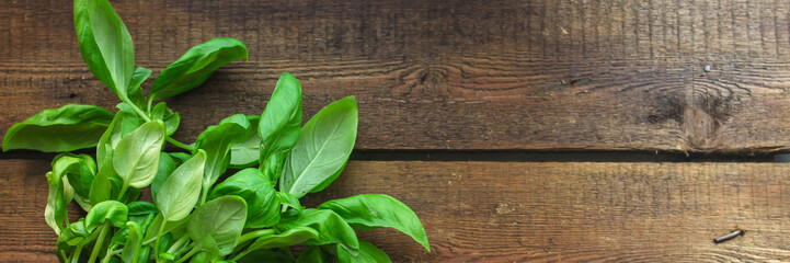 basil (flavored green ingredient used for cooking). food background. top view. copy space