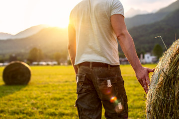 hand in the hay © MR.PLAY