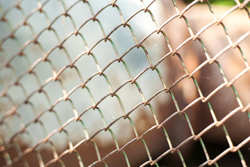 Old rusty metal grid. Grunge backdrop. Rustic textures