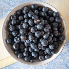 Fresh picked blueberries in a light and bright kitchen environment.