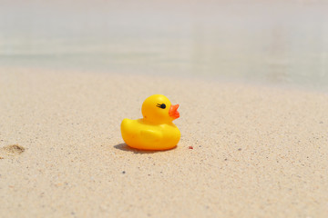 Fototapeta na wymiar Yellow rubber duck on the beach