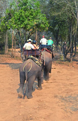 People ride on elephants in Thailand