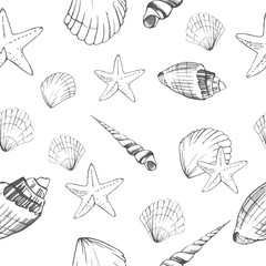 Seamless pattern with seashells. Marine background
