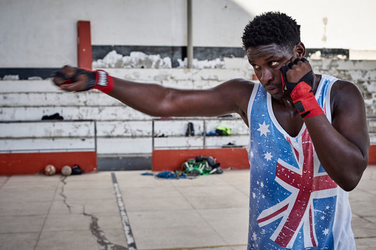 Portrait of boxer practicing