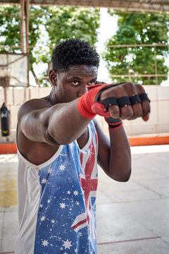 Portrait of boxer practicing