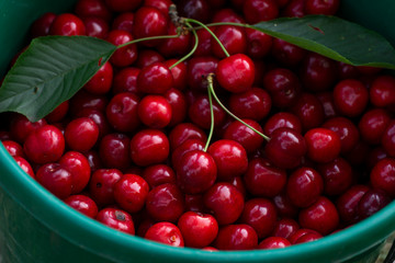 Red cherries background