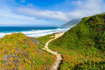 A narrow hiking trail curves through the landscape above the Pacific Ocean along California's Big...