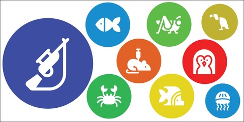 wildlife icon set