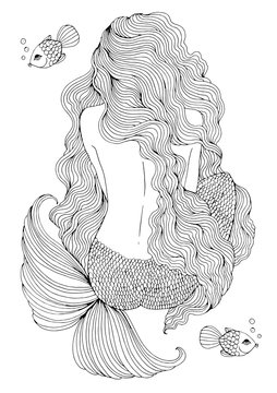 JPEG drawing fantastic sea mermaid with long wavy hair sits with his back. Ornamental decorated graphic illustration of a mermaid tattoo. Coloring page sea nymph. Fairy tale characters print t-shirt	