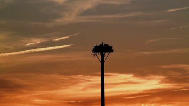 Adlerhorst Bilder Durchsuchen 398 Archivfotos, und