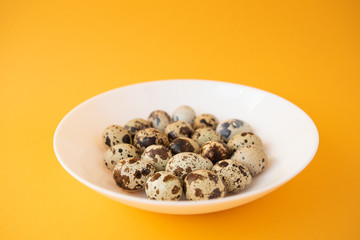 Raw quail eggs in white plate on yellow background. Easter.