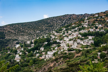 Fototapeta na wymiar greek village in pelion at the side of the hill