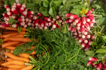A collection of fresh vegetables with radish and carrot. Top view . - Image