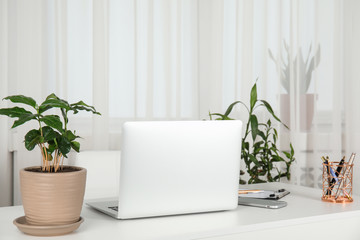 Houseplants and laptop on table in office interior, space for text