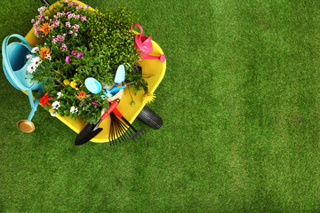 Wheelbarrow with flowers and gardening tools on grass, top view. Space for text - obrazy, fototapety, plakaty
