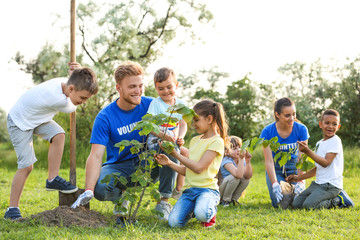 Kids planting trees with volunteers in park